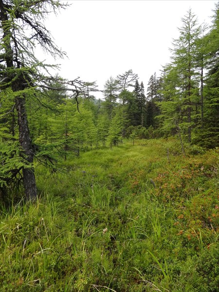 Охотское Море 176